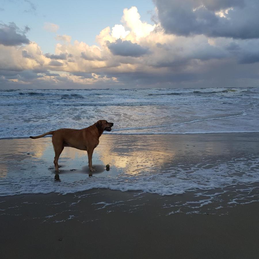 Vila In De Bocht Heiloo Exteriér fotografie